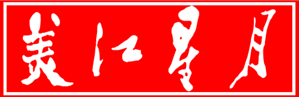 美江星月