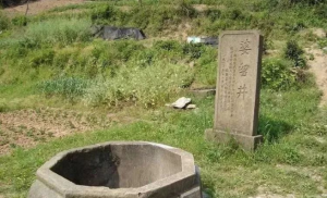婆留井