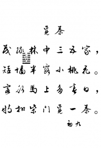 觅茶