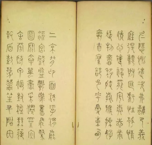 06